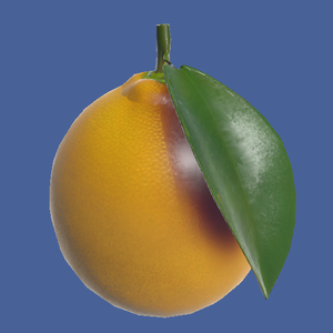 【３D】レモン_lemon【VRChat】