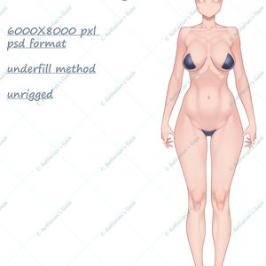 vtuber model body base for live 2d /psd file 