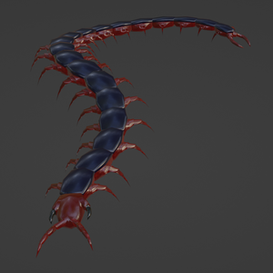 Centipede Low Poly
