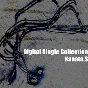 Digital Single Collection
