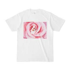 サンタ帽子を被った子猫