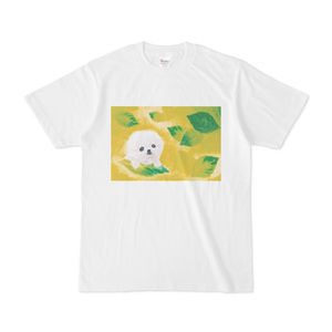 ポメラニアンの子犬