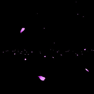 Cherry Blossoms Falling