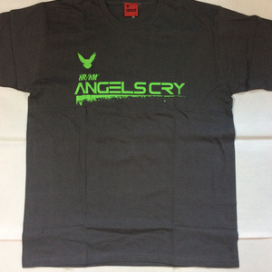 HR/HM Tシャツ　ANGELS CRY