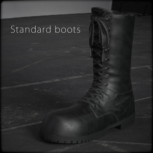 Standard boots