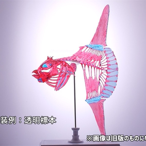 鬼の骨 鬼骨 – WATANABE WORKS