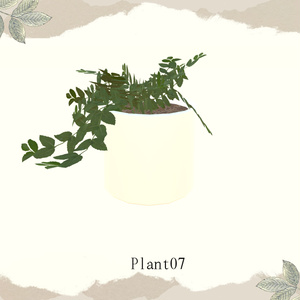 【1品無料】癒しを与えてくれる観葉植物セット 缩略图 10