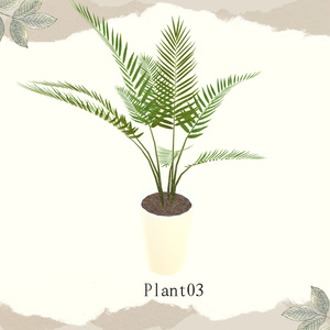 【1品無料】癒しを与えてくれる観葉植物セット 缩略图 6