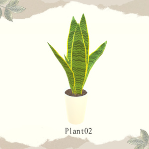 【1品無料】癒しを与えてくれる観葉植物セット 缩略图 5
