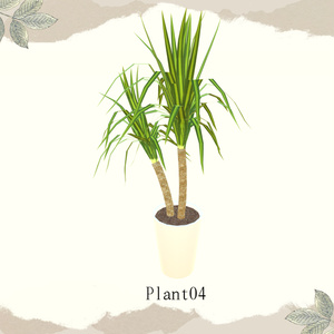 【1品無料】癒しを与えてくれる観葉植物セット 缩略图 7