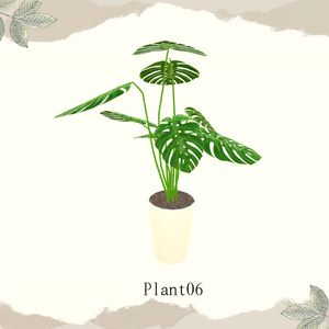 【1品無料】癒しを与えてくれる観葉植物セット 缩略图 9