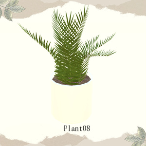 【1品無料】癒しを与えてくれる観葉植物セット 缩略图 11