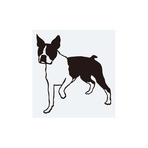 犬ステッカー　ボストンテリア2