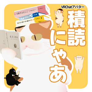 VRChat専用オリジナル3Dモデル「積読にゃあ」