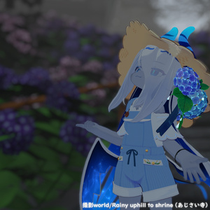 【40アバター対応】紫陽花SUMMER【衣装】 缩略图 27