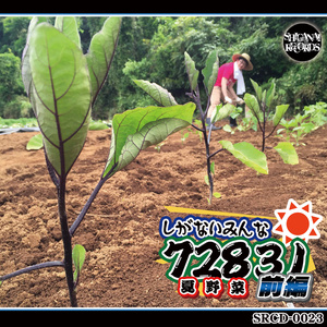 しがないみんな72831