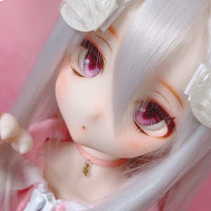 ✧︎お迎え決定✧︎ ddh27