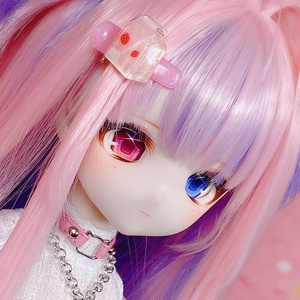 ✧︎お迎え決定✧︎ ddh27