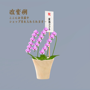 3Dモデル 胡蝶蘭 （☆名入れプレゼント可能☆） 缩略图 5