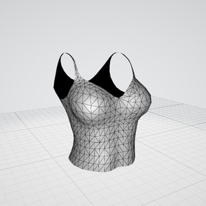 3d 下着