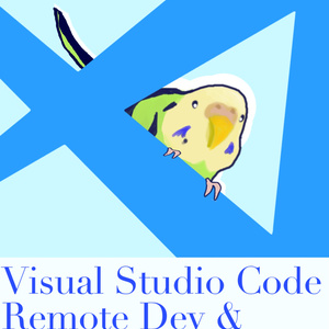 Visual Studio Code Remote Dev & Cloud Code Guide
