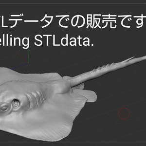 『stingray‐アカエイ‐』 アカエイ　フィギュア　STLファイル