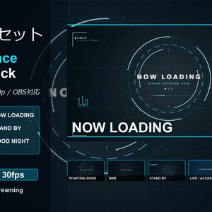 【配信素材セット】Cyber Space Screen Pack｜待機画面・NOW LOADING・BRB・配信終了｜18MP4・3色・OBS対応