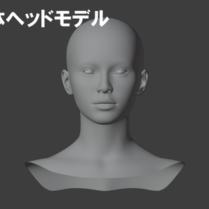 【高品質】女性ヘッド素体モデル