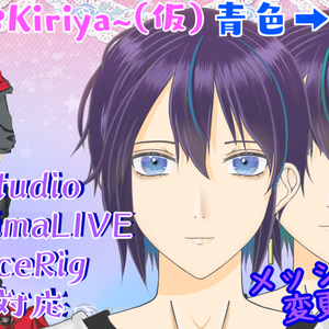 【VTS/nizimaLIVE/FaceRig対応】綺麗目系男性 高可動域！