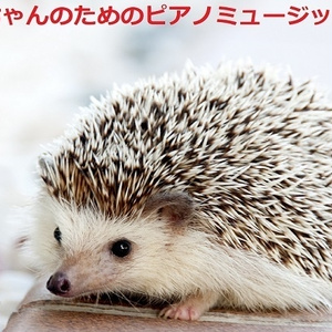 赤ちゃんのためのピアノミュージック