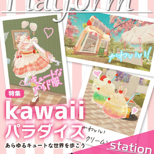【フリーペーパー】メタバース写真旅行誌『Platform』Vol.14 kawaiiパラダイス