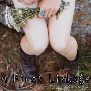 A First Linkage