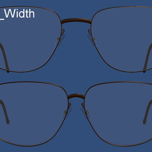 W.W. Glasses (Fan-made)　ボストンスクエア型眼鏡 缩略图 8