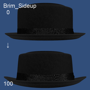 W.W. Hat (Fan-made)　ポークパイハット 缩略图 5