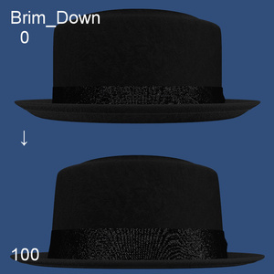 W.W. Hat (Fan-made)　ポークパイハット 缩略图 6