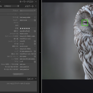 FocusVisualizer(Lightroomclassicプラグイン)フォーカス枠可視化ツール