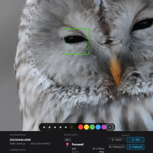 FocusVisualizer(Lightroomclassicプラグイン)フォーカス枠可視化ツール