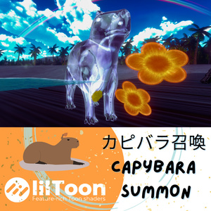 カピバラ召喚/Capybara summon