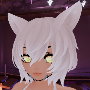 Cat Io Girl PC unitypackage for VRCHAT by Aroy