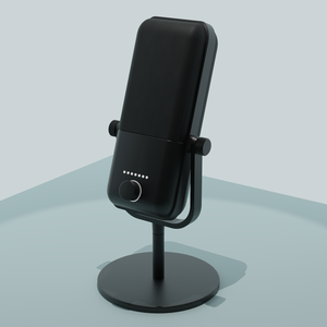 Stand microphone