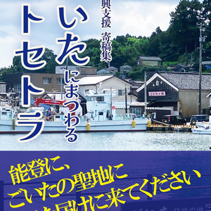 匿名配送対応【日本ごいた協会 認定】簡易ごいた駒 ボードゲーム - shimarisLab. - BOOTH