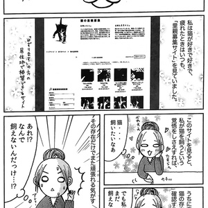 実録　ねこかわええ