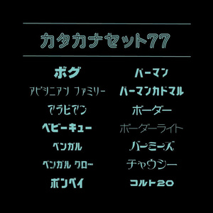 カタカナセット77