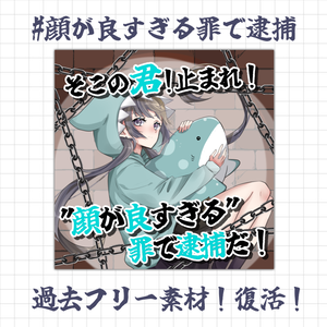 【 フリー素材 No.3 】顔が良すぎる罪で逮捕!!