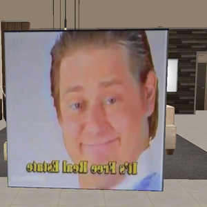 Meme avatar