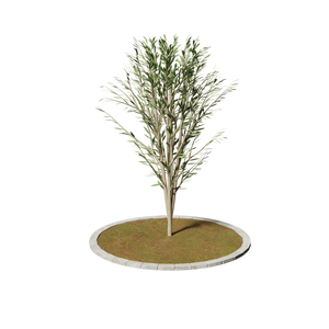 【Free DL】plant_1