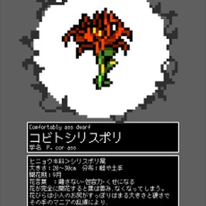 ジュウニ図鑑　植物（花）