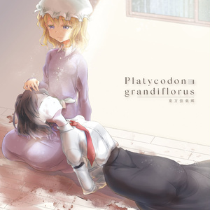 Platycodon grandiflorus