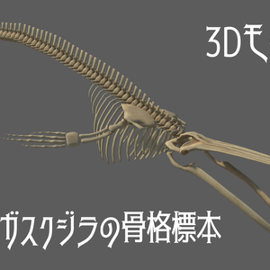 【3Dモデル】シロナガスクジラの骨格標本【VRCワールド向け】