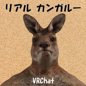 オリジナル3Dモデル：リアルカンガルー kangaroo